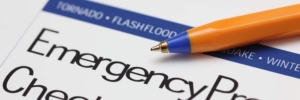 Emergency Preparedness: Developing Robust Action Plans for Natural Disasters